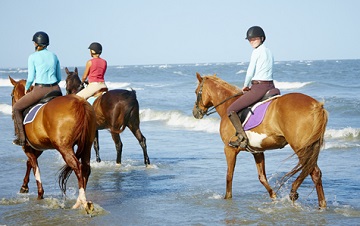 riding horses on seabrook